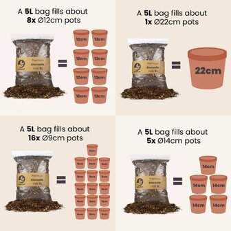 sustrato Bonsai info