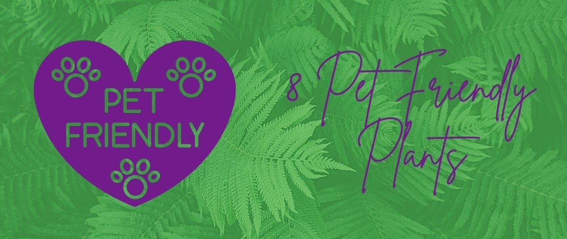 pet-friendly plants