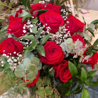 rosas rojas